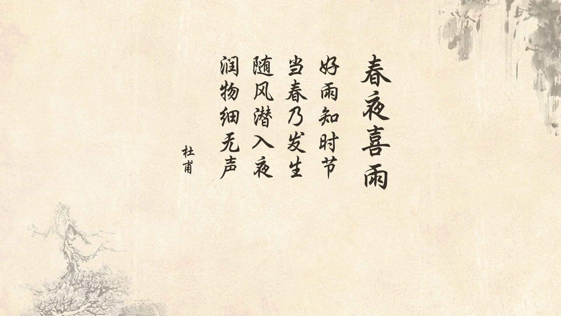 熊猫体育app下载-女足世界杯备战方案细致，争取佳绩，2031年女足世界杯