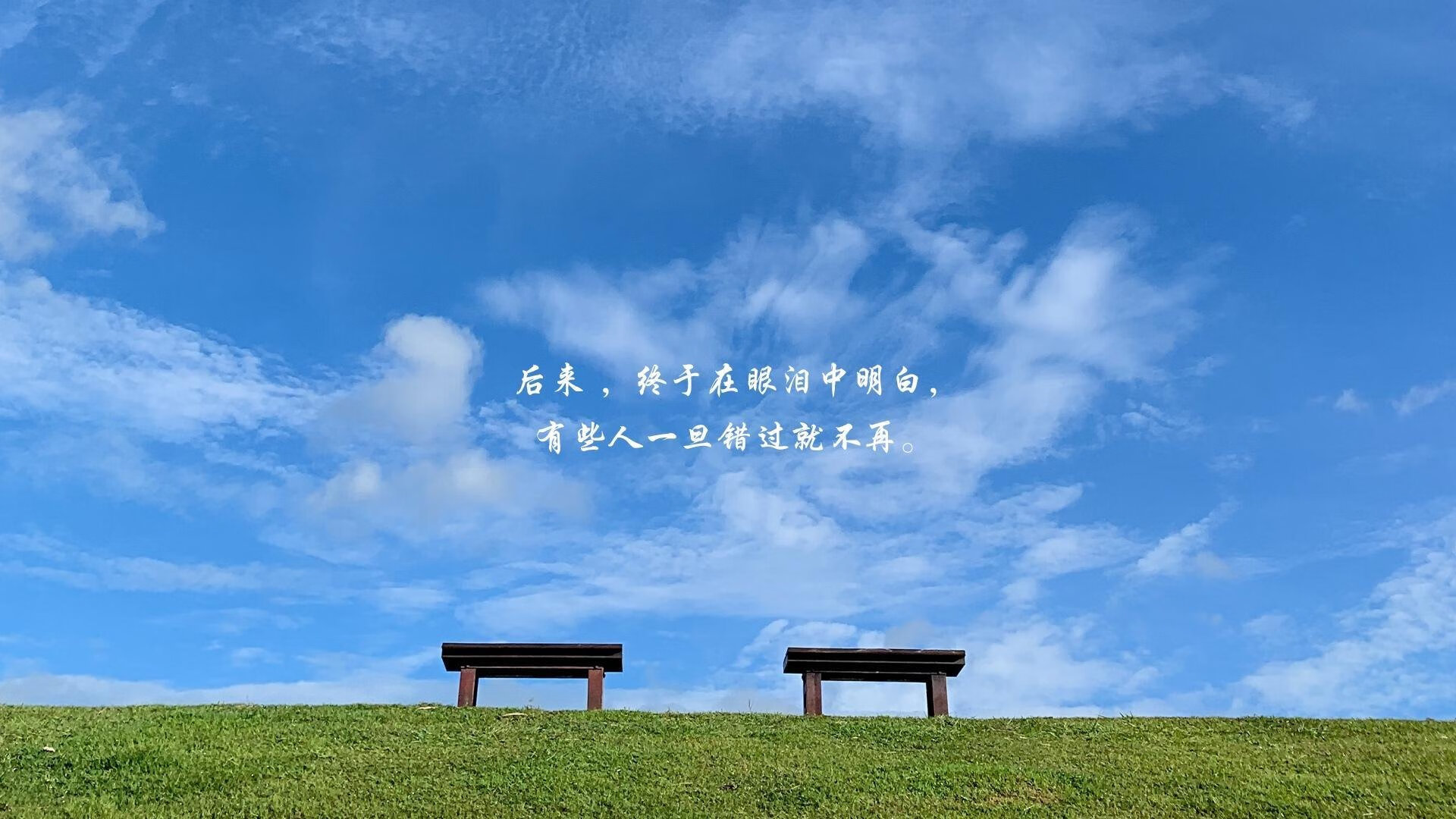 李轩豪夺冠！2024第四届“湾区杯”中国围棋大棋士赛圆满落幕