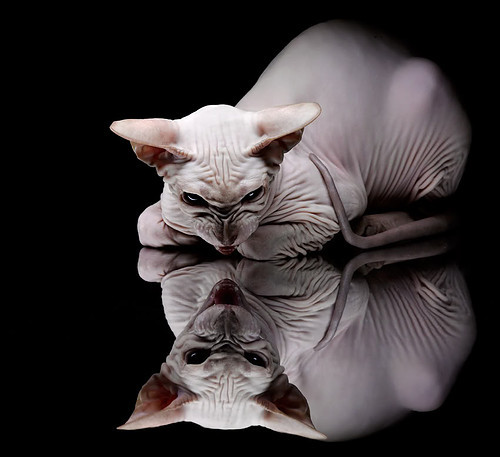 熊猫体育在线登录-汉堡球员因伤落选，将缺席下个比赛，汉堡著名球员