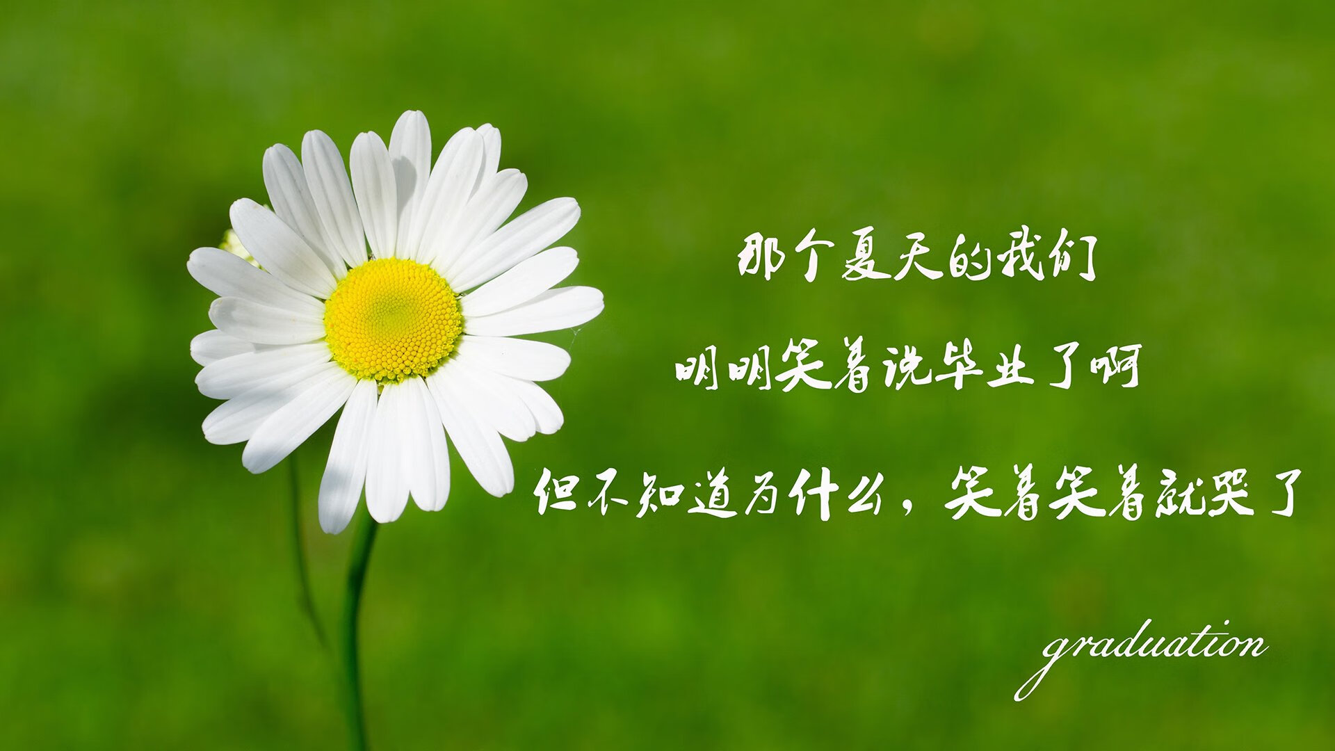 熊猫体育平台安全-雄鹿球队迎来新赛季备战 球员状态出色，雄鹿球队迎来新赛季备战 球员状态出色视频